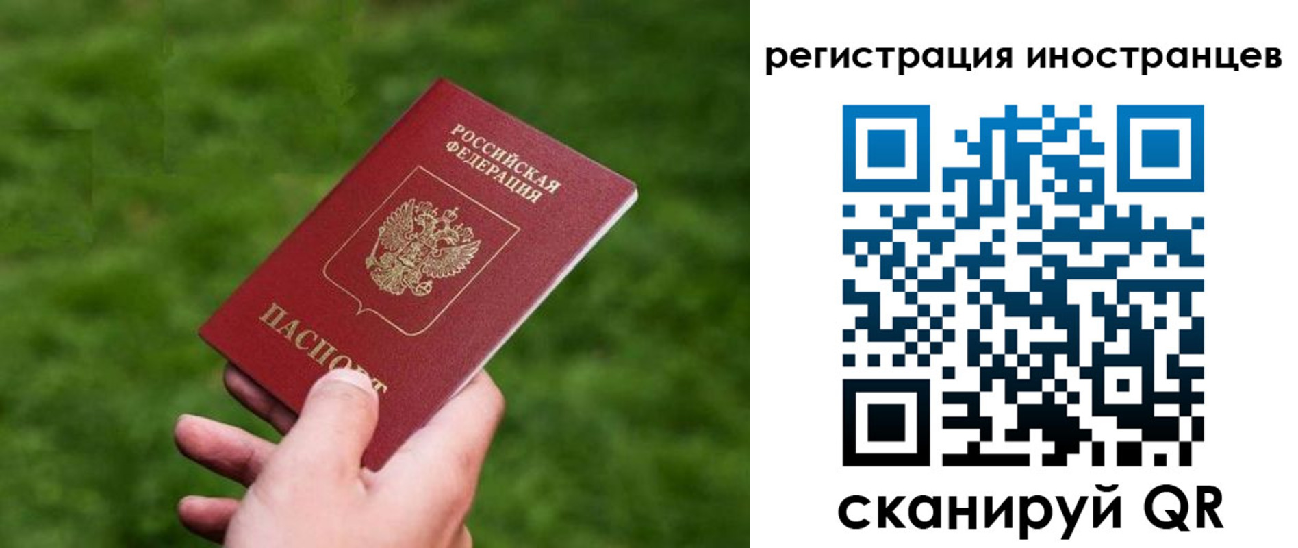 прописка ребенка в Никольском